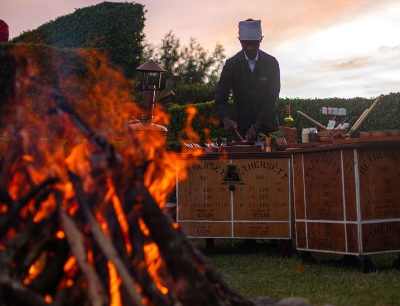 A Bonfire for Your Senses: A Culinary Adventure Among Tea Bushes