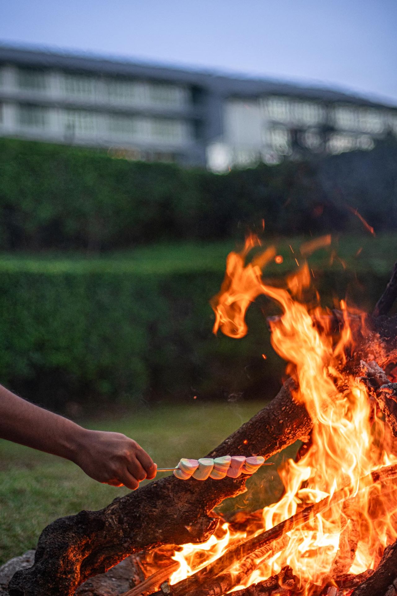 Discovering Ayurvedic Dining