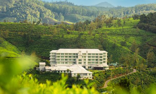 Step Into a Storybook: The Pekoe Trail’s Final Stages Unfold at Heritance Tea Factory