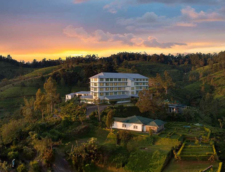 Immerse Yourself in a Serene Summer Retreat at Heritance Tea Factory