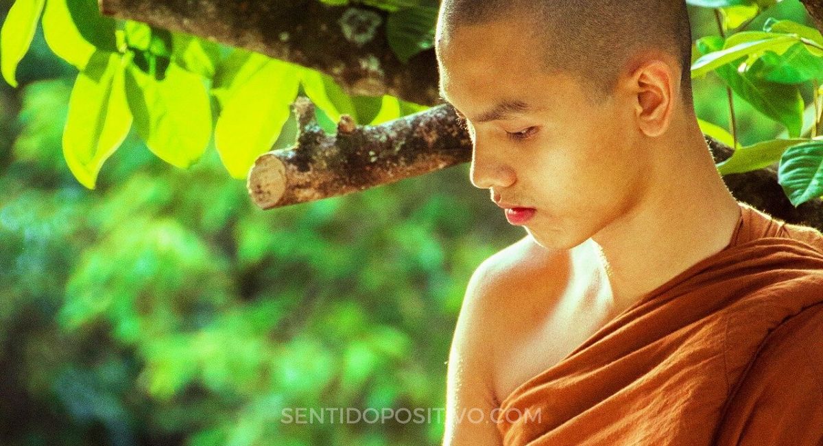 Sabiduría budista: 11 hábitos increíbles de los monjes budistas (el 7 es brillante)
